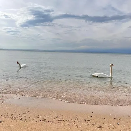 Apartmán Olivenblatt 4 *