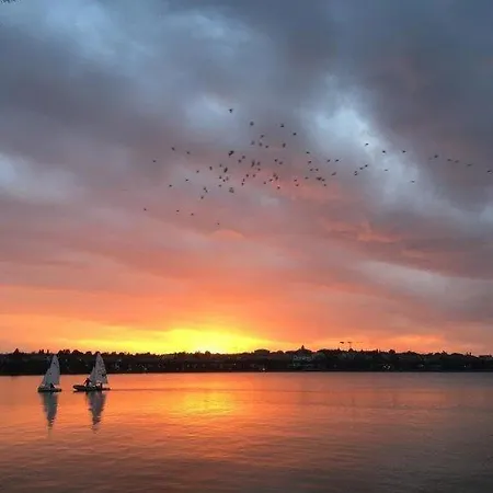 Olivenblatt 4 Bardolino