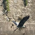 Appartamento Olivenblatt 4
