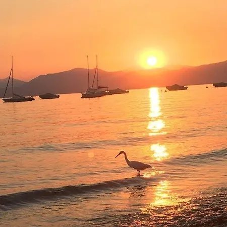 Olivenblatt 4 * Bardolino