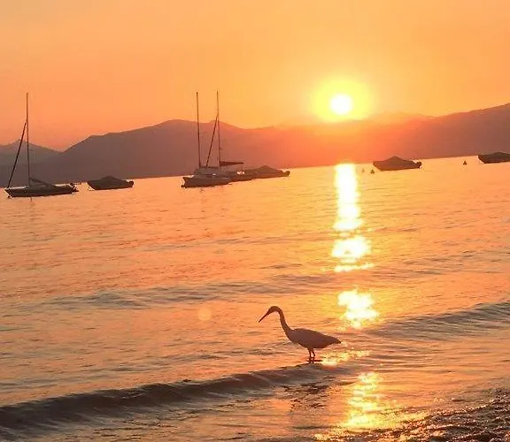 Olivenblatt 4 * バルドリーノ