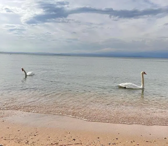 アパート Olivenblatt 4 *