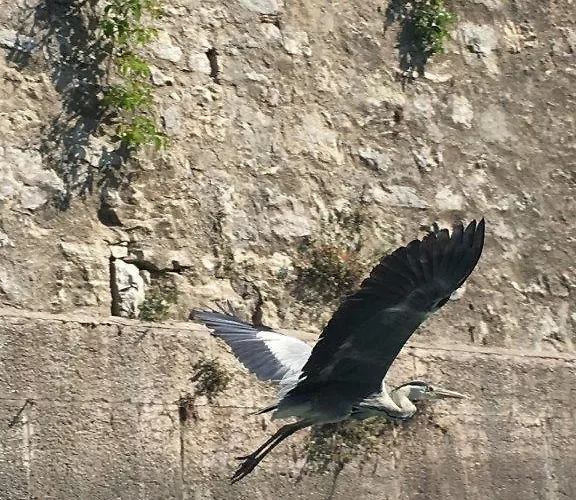 Apartment Olivenblatt 4